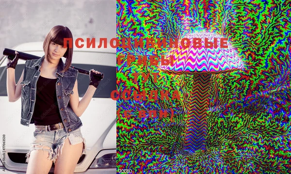 твердый Баксан